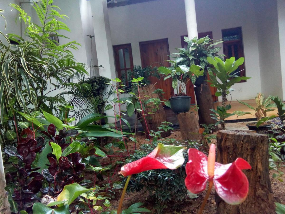 Arugambay Village Arugam Bay Buitenkant foto